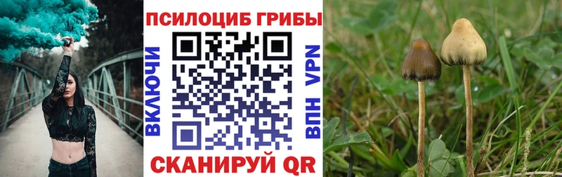 Галлюциногенные грибы мицелий  Электроугли 